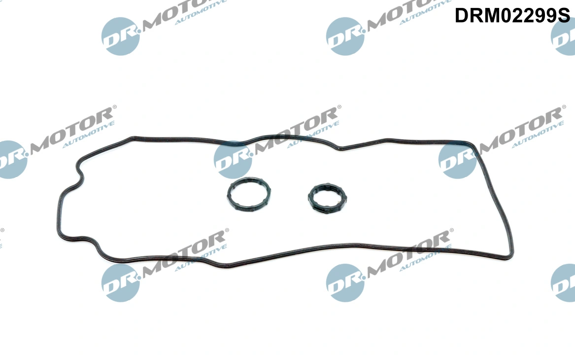 Gasket, timing case cover